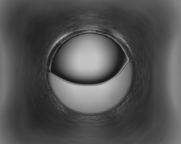 X0000085081312200703051101