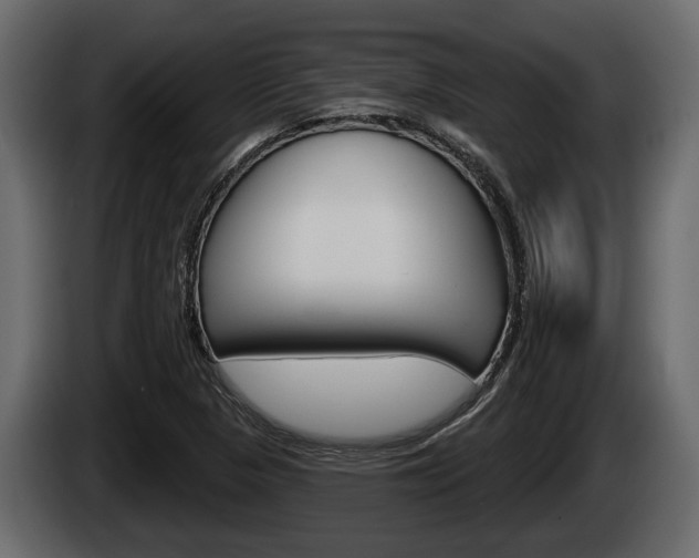 X0000085081313200703051101