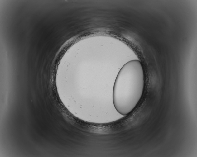 X0000085081314200703051101