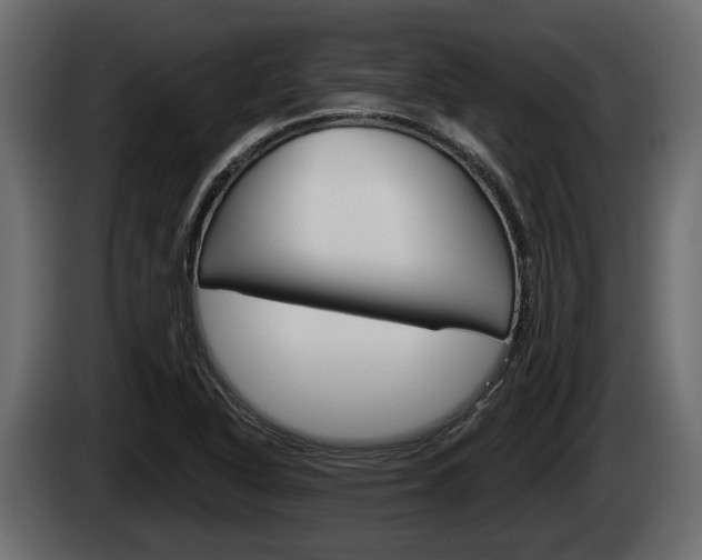 X0000085081318200703051101