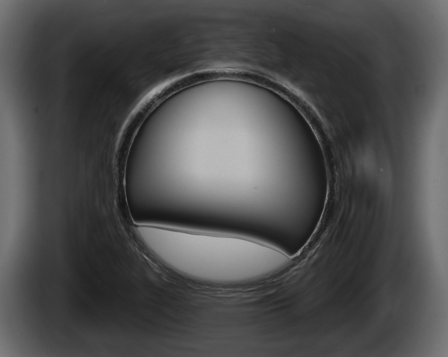 X0000085081319200703051101