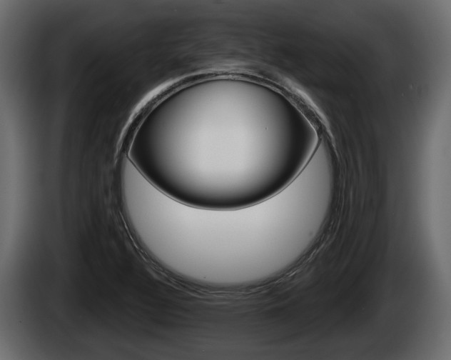 X0000085081320200703051101
