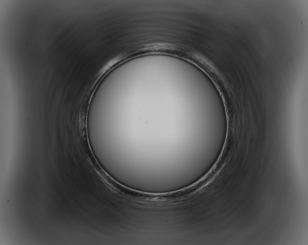 X0000085081321200703051101