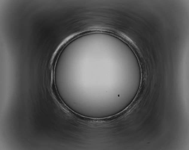 X0000085081323200703051101