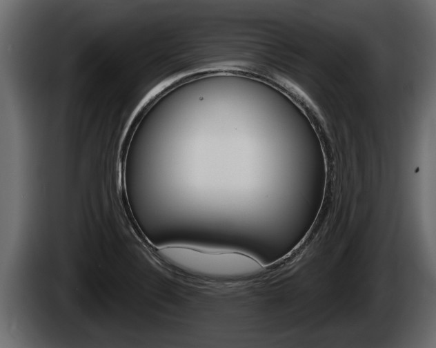 X0000085081324200703051101