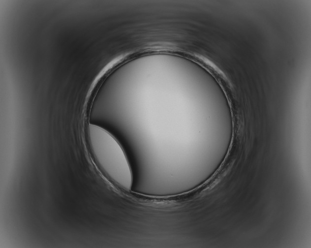 X0000085081325200703051101