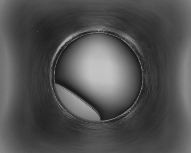 X0000085081326200703051101