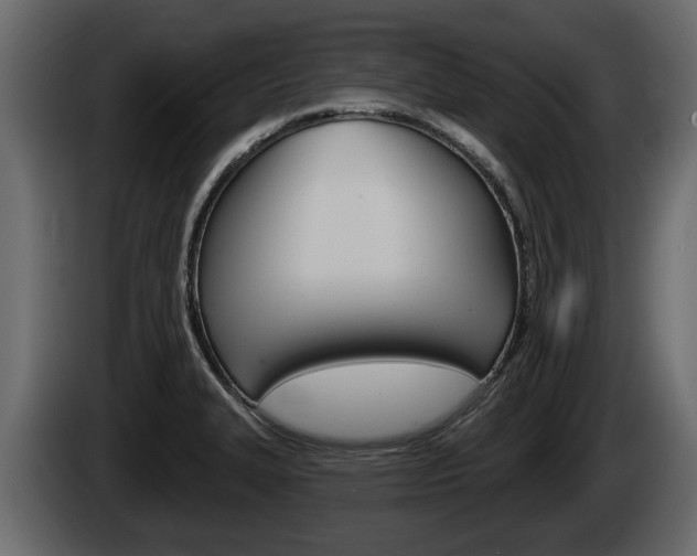 X0000085081327200703051101