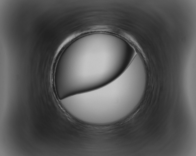 X0000085081328200703051101