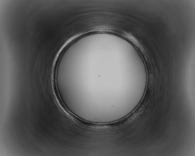 X0000085081331200703051101