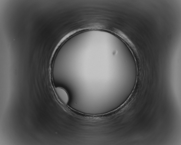 X0000085081332200703051101