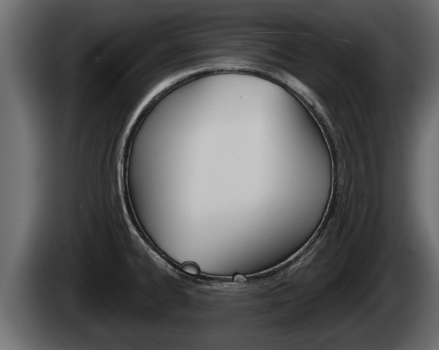 X0000085081334200703051101