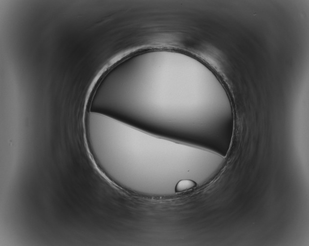 X0000085081335200703051101