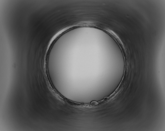 X0000085081336200703051101