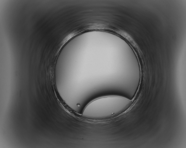 X0000085081337200703051101
