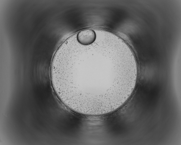 X0000085081338200703051101