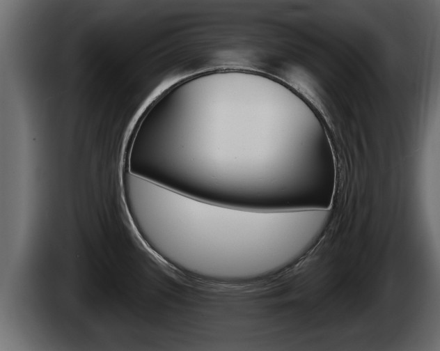 X0000085081339200703051101