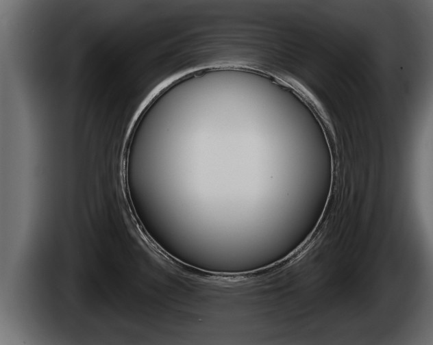 X0000085081340200703051101