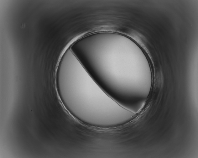 X0000085081341200703051101