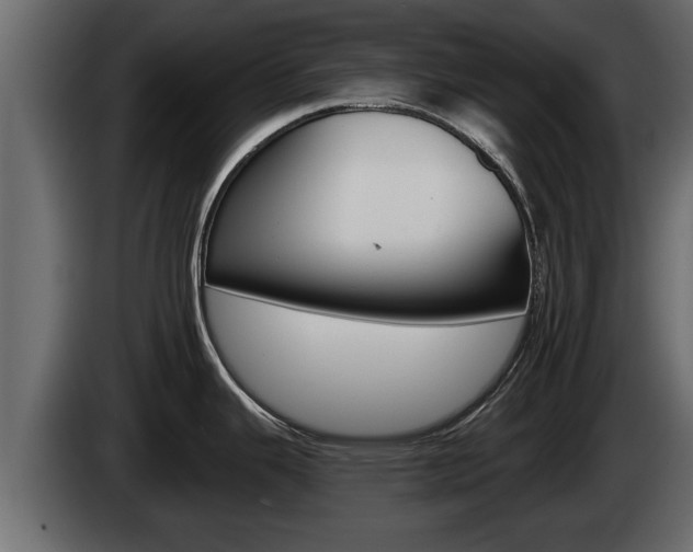 X0000085081343200703051101