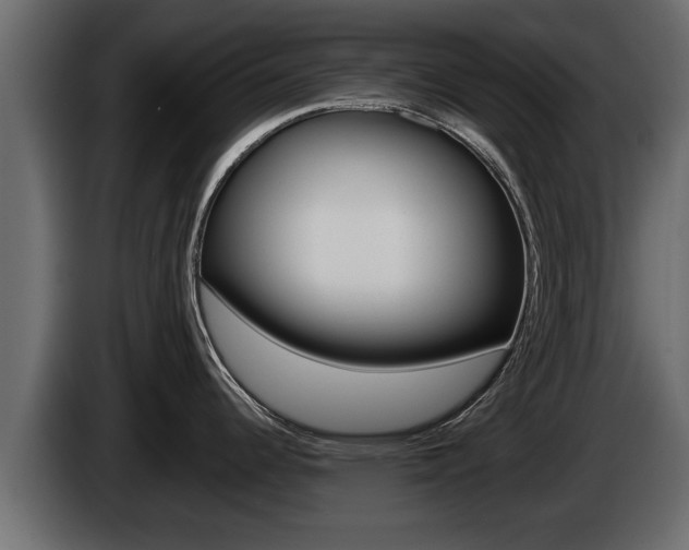 X0000085081344200703051101