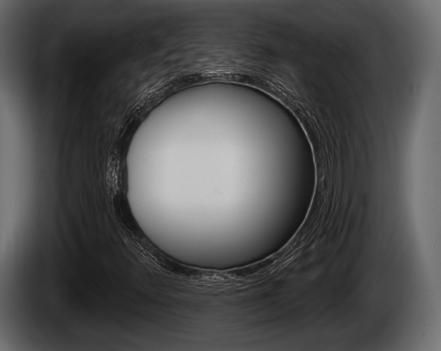 X0000085081348200703051100