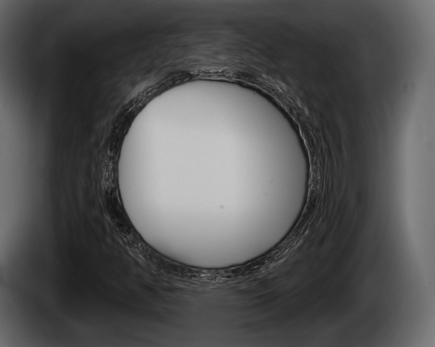 X0000085081350200703051100