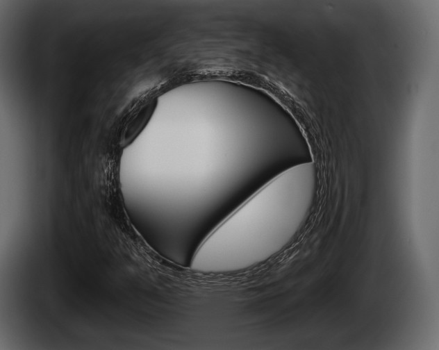 X0000085081351200703051100