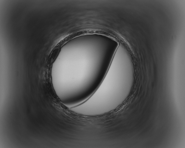X0000085081352200703051100
