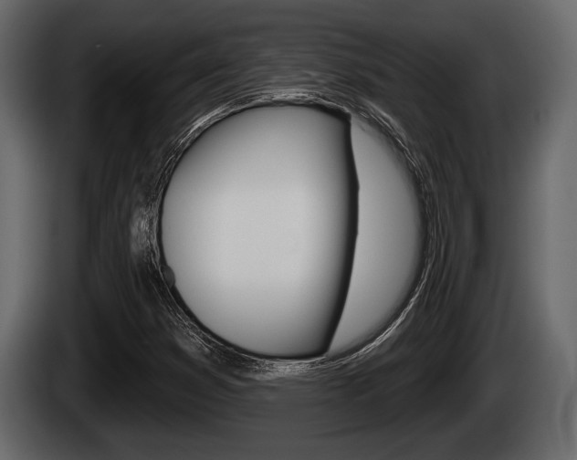 X0000085081353200703051100