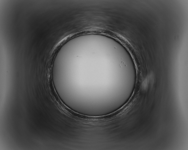 X0000085081355200703051100