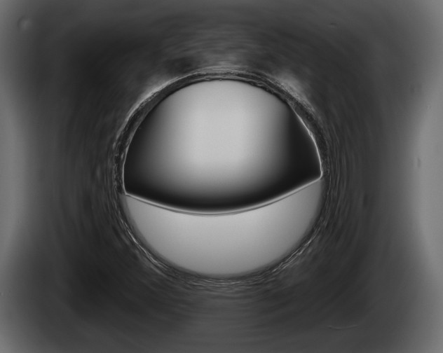 X0000085081356200703051100