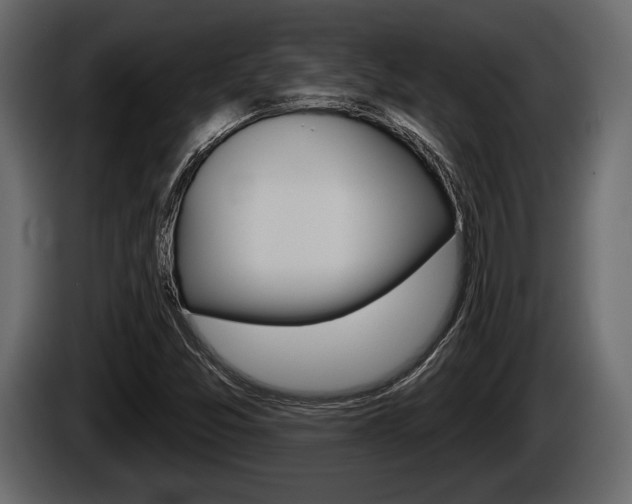 X0000085081357200703051100