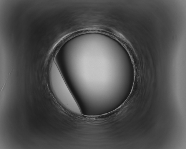 X0000085081360200703051100