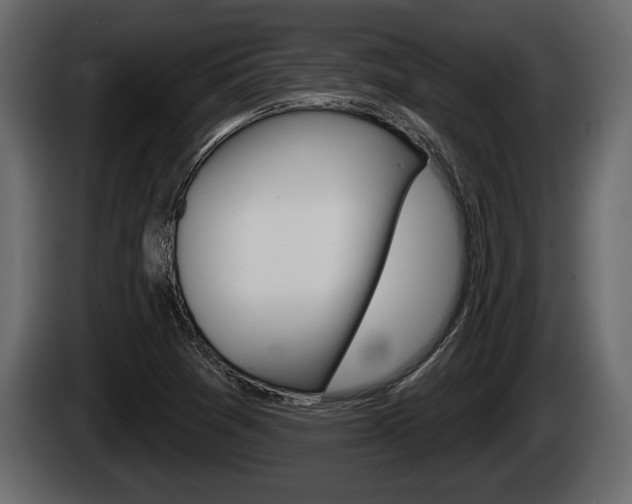 X0000085081361200703051100