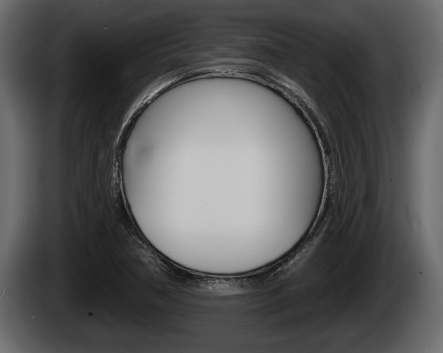 X0000085081362200703051100