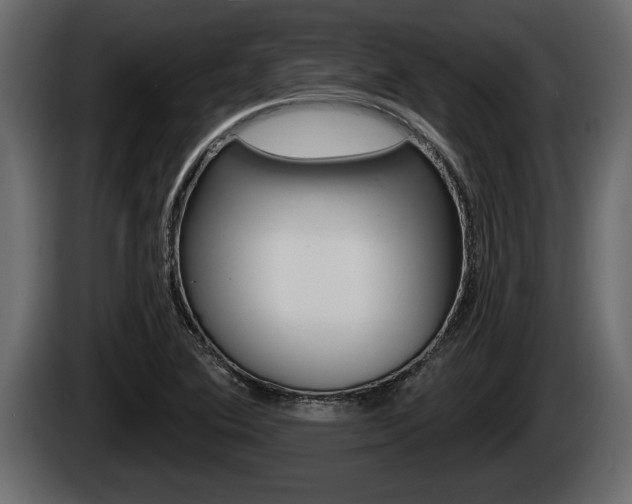 X0000085081364200703051100
