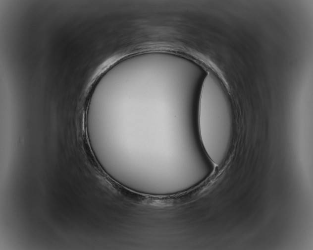 X0000085081365200703051100
