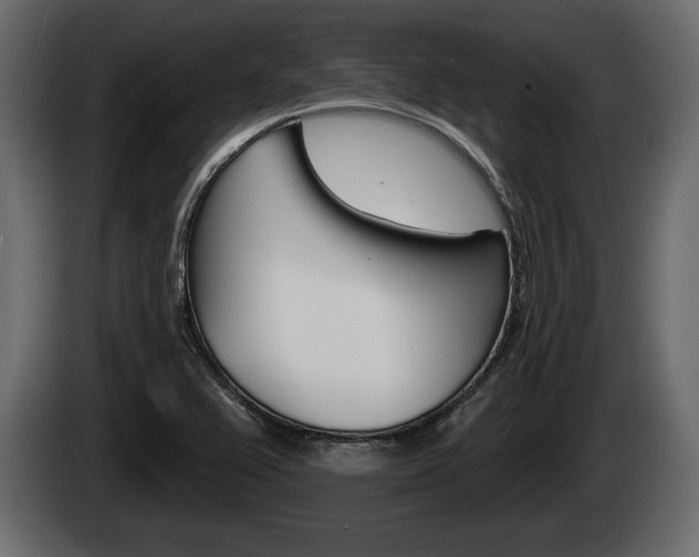 X0000085081367200703051100