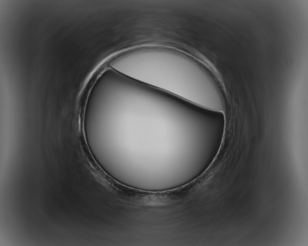 X0000085081368200703051100