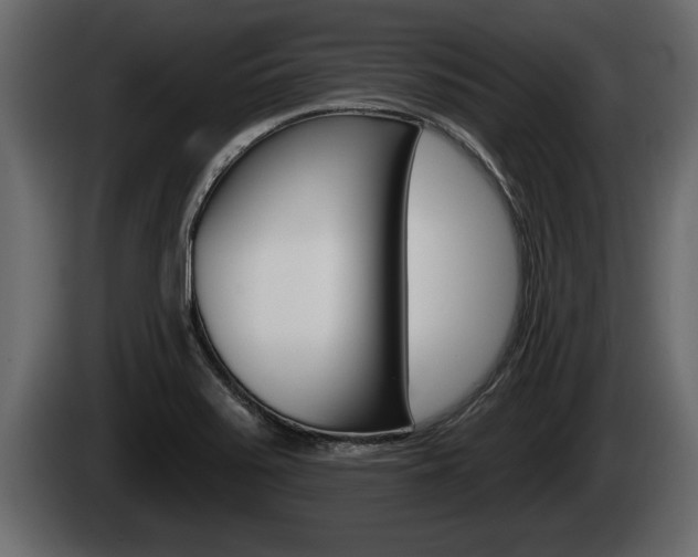 X0000085081371200703051100