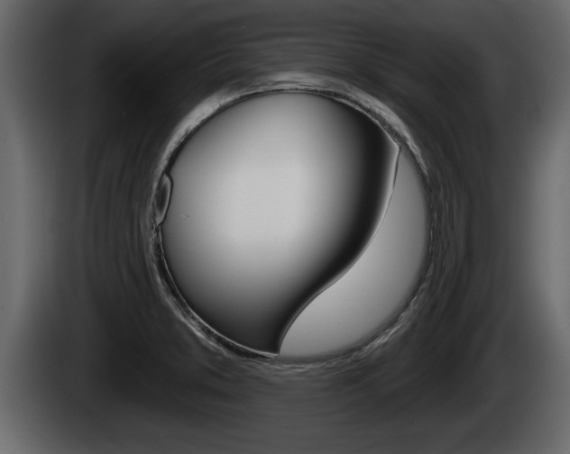 X0000085081373200703051100