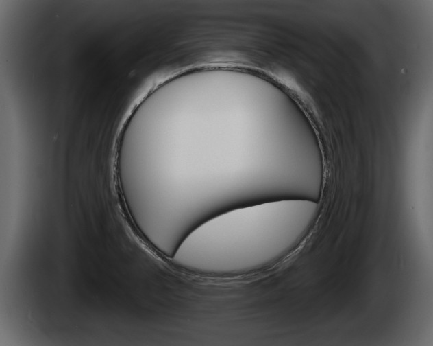 X0000085081374200703051100