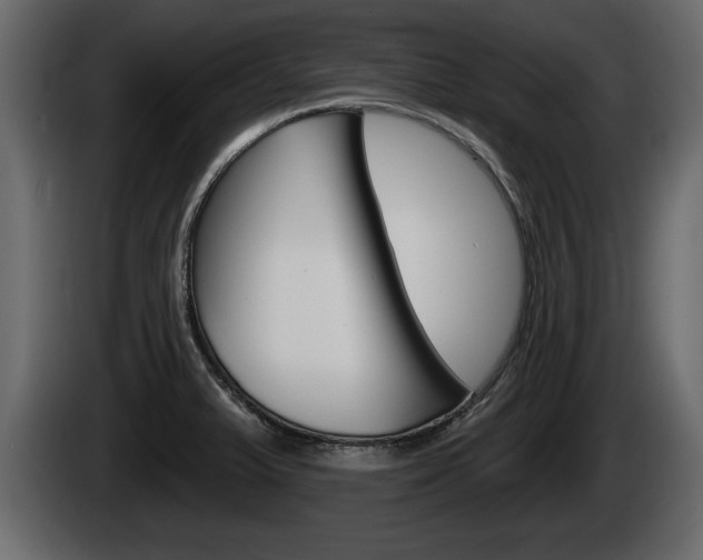 X0000085081375200703051100