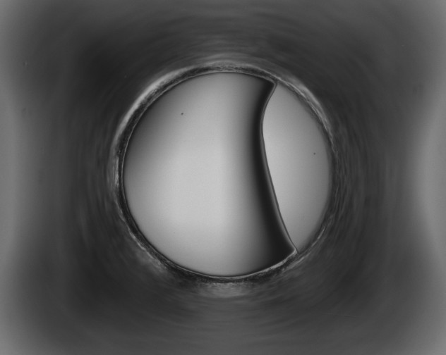 X0000085081376200703051100