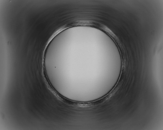 X0000085081378200703051100