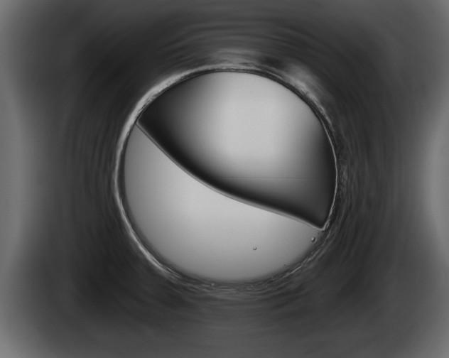 X0000085081379200703051100
