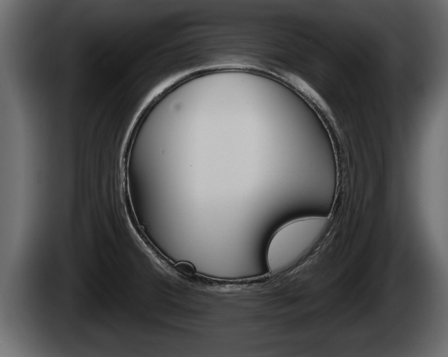X0000085081380200703051100