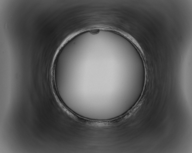 X0000085081381200703051100