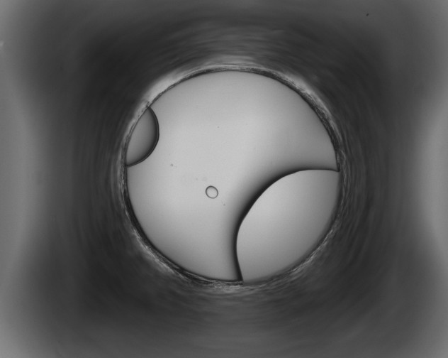 X0000085081382200703051100